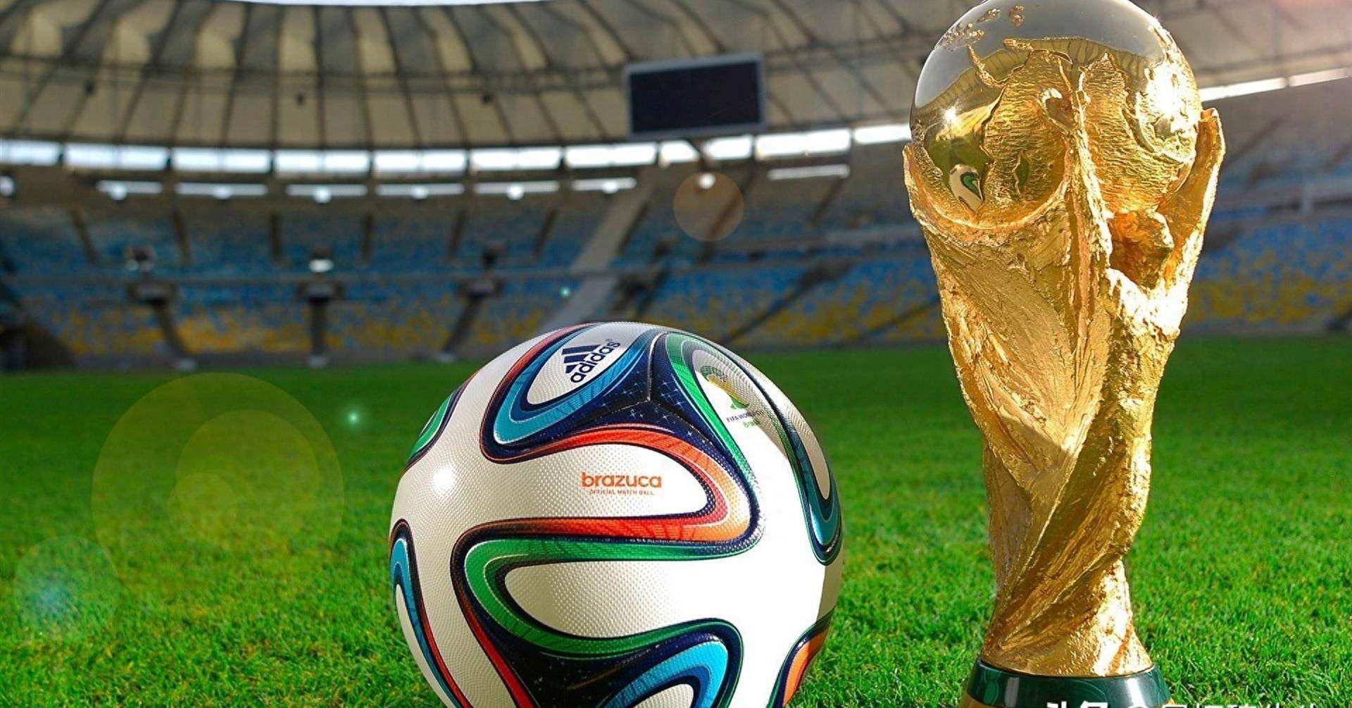 线上观光 线上观光