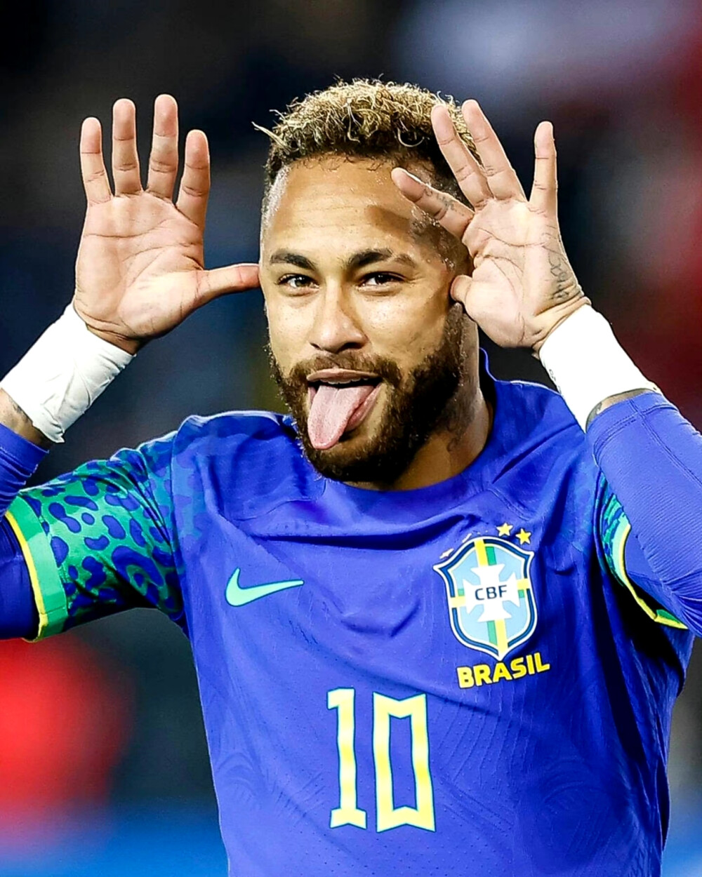 拉菲尼亚在 拉菲尼亚在